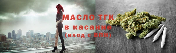индика Семилуки