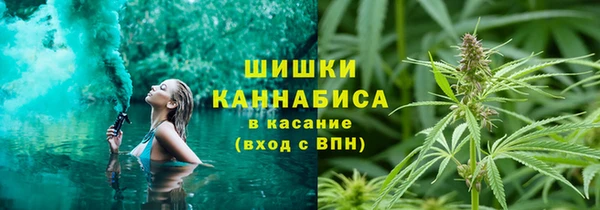 твердый Алзамай