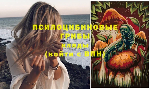 твердый Алзамай