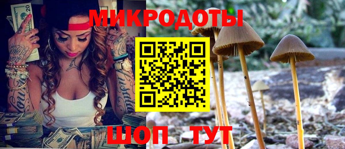 Псилоцибиновые грибы Magic Shrooms Клин