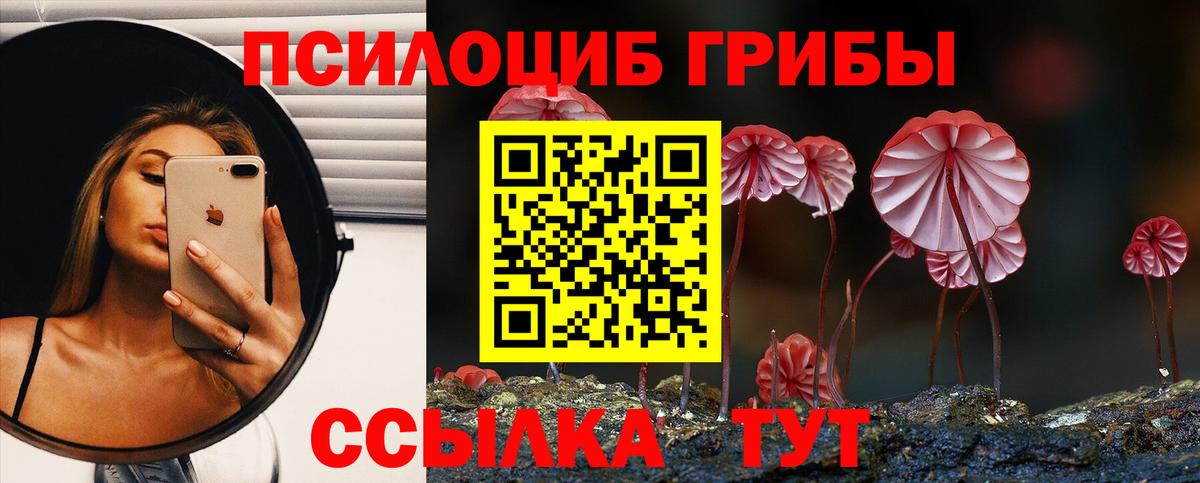Клин  Псилоцибиновые грибы Magic Shrooms  Псилоцибиновые грибы ЛСД  Вход с VPN 