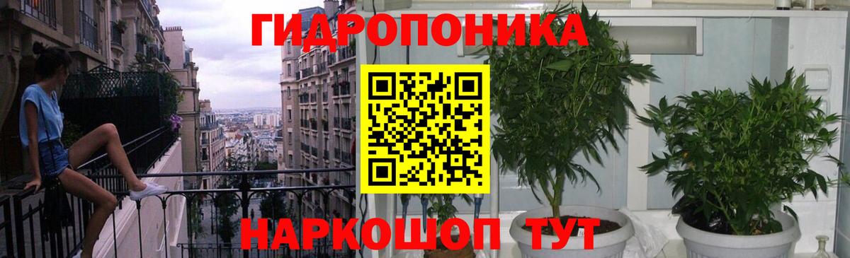 Бошки марихуана AK-47  Марихуана семена  Канабис Amnesia  Клин  Вход с VPN 